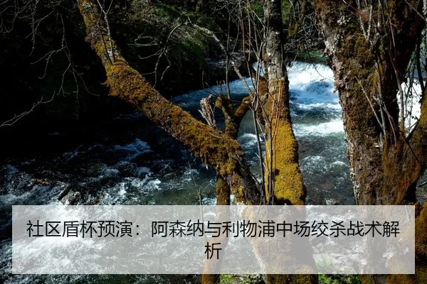 社区盾杯预演：阿森纳与利物浦中场绞杀战术解析