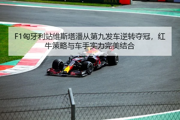 F1匈牙利站维斯塔潘从第九发车逆转夺冠，红牛策略与车手实力完美结合