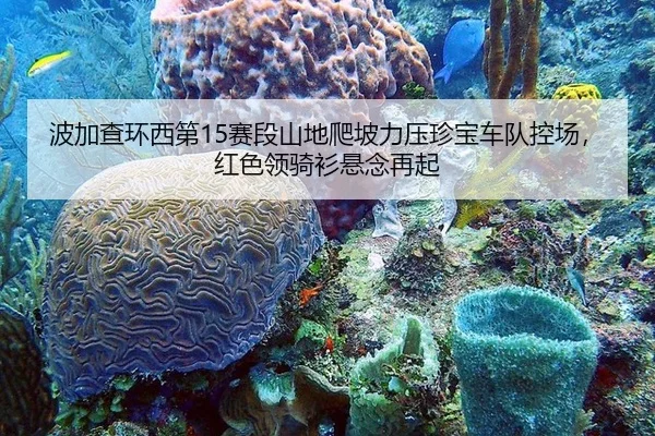 bo-jia-cha-huan-xi-di-sai-duan-shan-di-pa-po-li-ya-zhen-bao-che-dui-kong-chang-hong-se-ling-qi-shan-xuan-nian-zai-qi-2-973.jpg