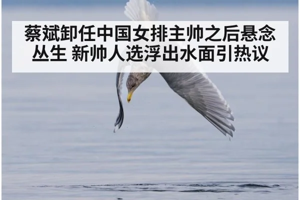 蔡斌卸任中国女排主帅之后悬念丛生 新帅人选浮出水面引热议