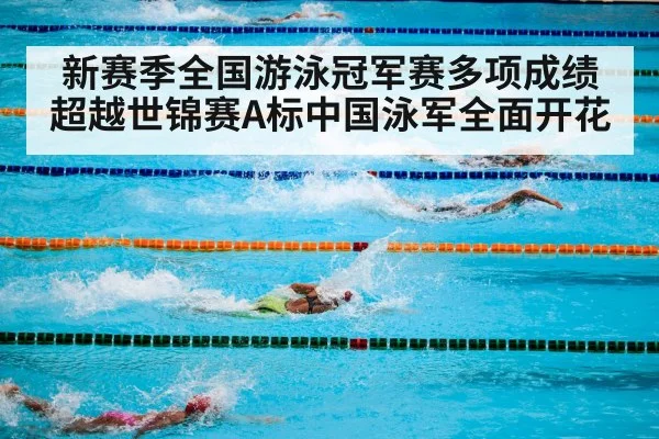 新赛季全国游泳冠军赛多项成绩超越世锦赛A标中国泳军全面开花